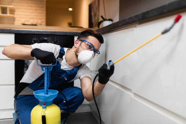 Best Ant Control Services  in Calverton, MD