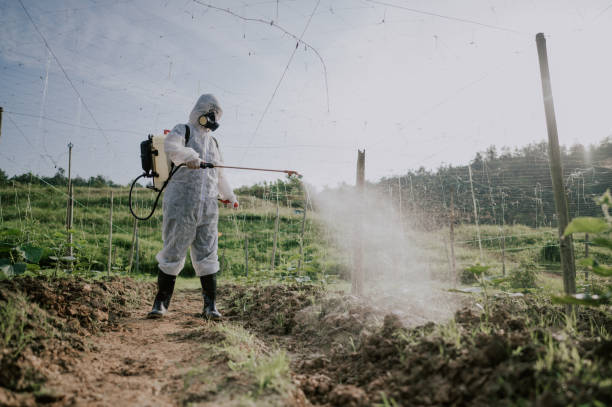 Best Commercial Pest Control Services  in Calverton, MD