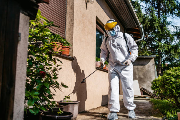 Best Pest Control Near Me in Calverton, MD