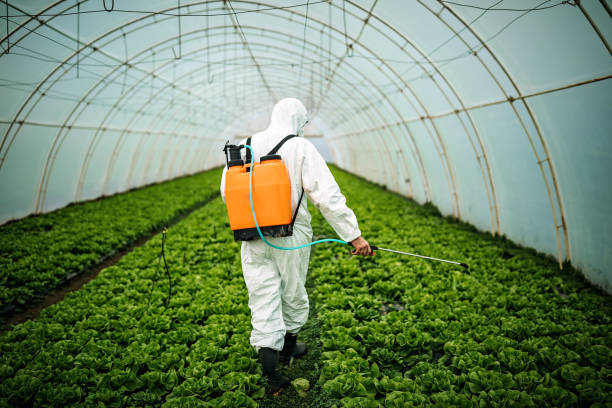 Best Local Pest Control Services  in Calverton, MD