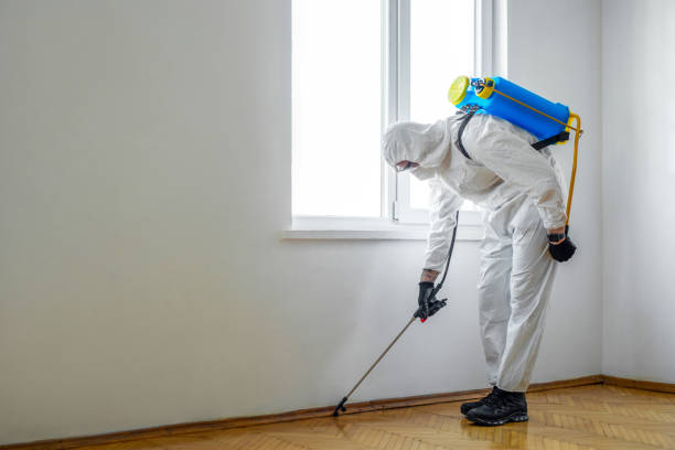 Best Wasp Removal Services  in Calverton, MD