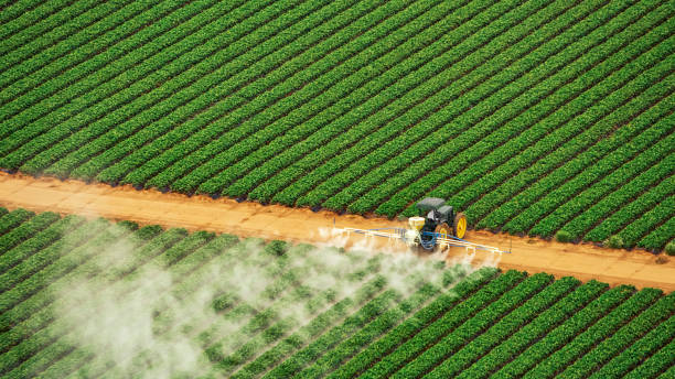 Best Commercial Pest Control Services  in Calverton, MD