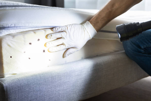 Best Wildlife Control Services  in Calverton, MD