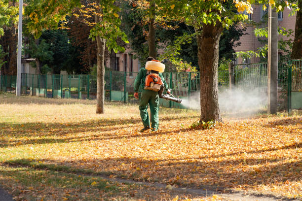 Best Rat Extermination Near Me  in Calverton, MD