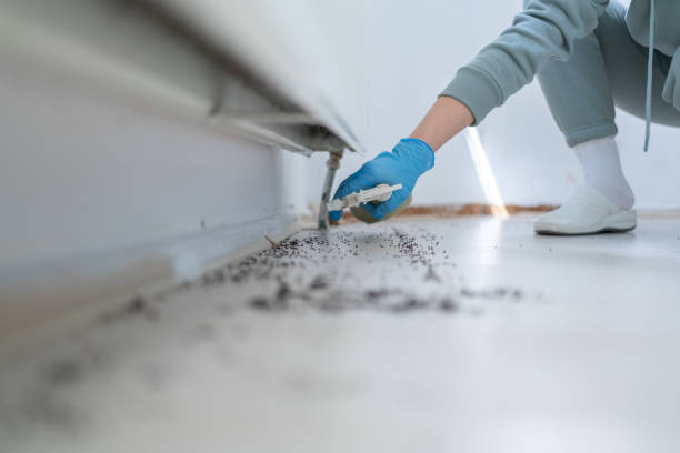 Best Pest Removal Services  in Calverton, MD